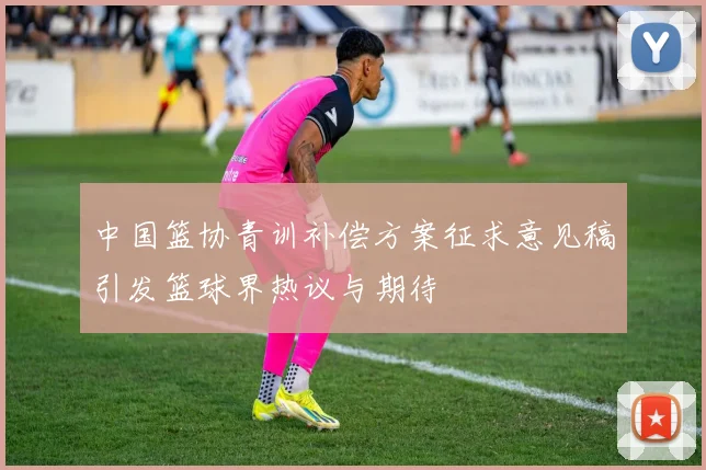 中国篮协青训补偿方案征求意见稿引发篮球界热议与期待